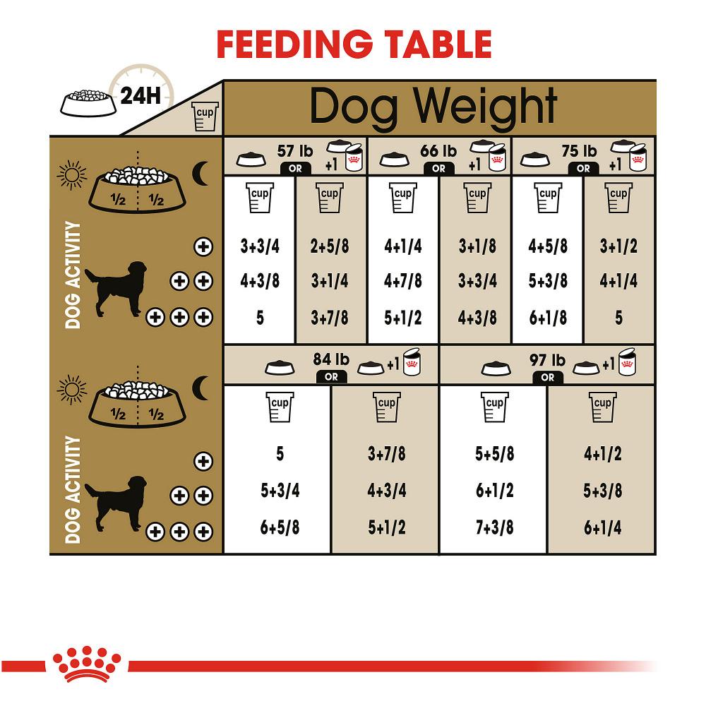 Royal Canin Adult Labrador Retriever Dry Dog Food (30 lb)
