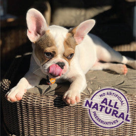 Old Mother Hubbard Wellness Training Bitz Assorted Mix Dog Biscuits