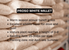 Proso White Millet