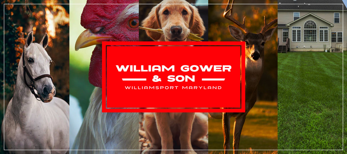 Animal Feed Store Williamsport, MD William Gower & Son, Inc.