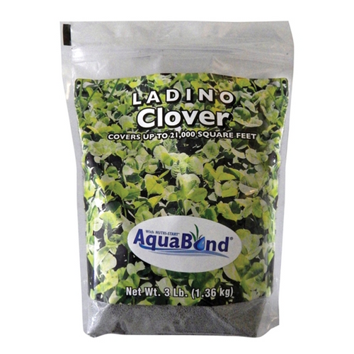 Southern States® Ladino Clover