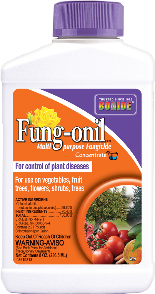 Bonide Fung-onil® Conc (16 oz)