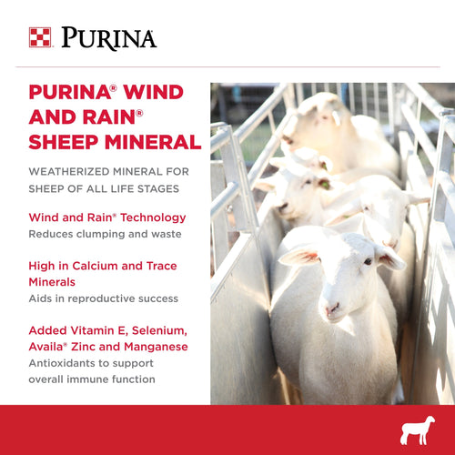 Purina® Wind and Rain® Sheep Mineral (50 Lb)